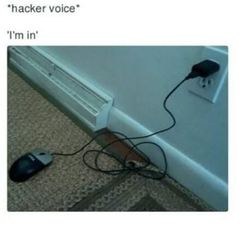 hacker voice im - hacker voice "I'm in'
