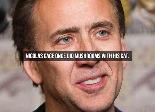 nicolas cage - Nicolas Cage Once Did Mushrooms With His Cat.