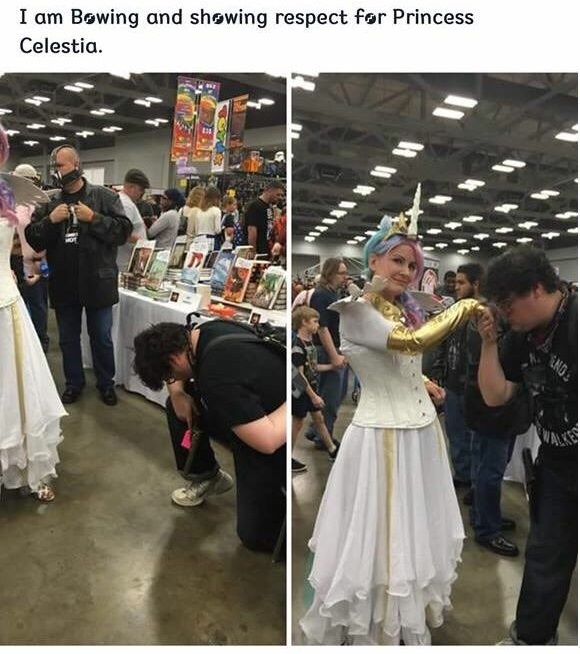 Respect - I am Bowing and showing respect for Princess Celestia.