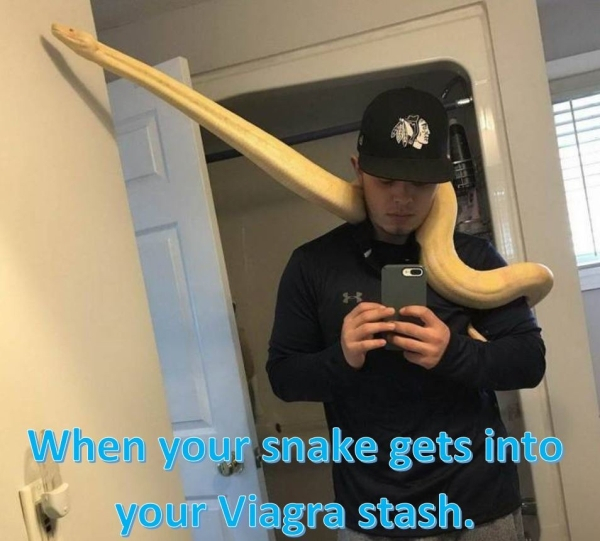 shoulder - When your snake gets into your Viagra stash.