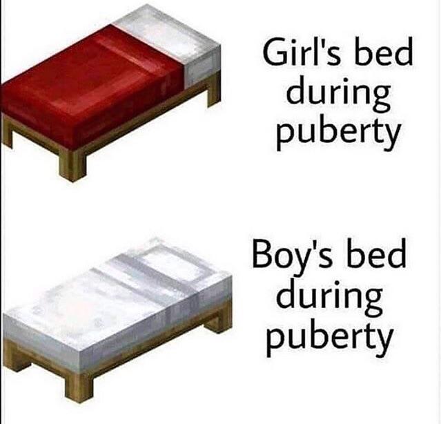 minecraft memes - Girl's bed during puberty Boy's bed during puberty