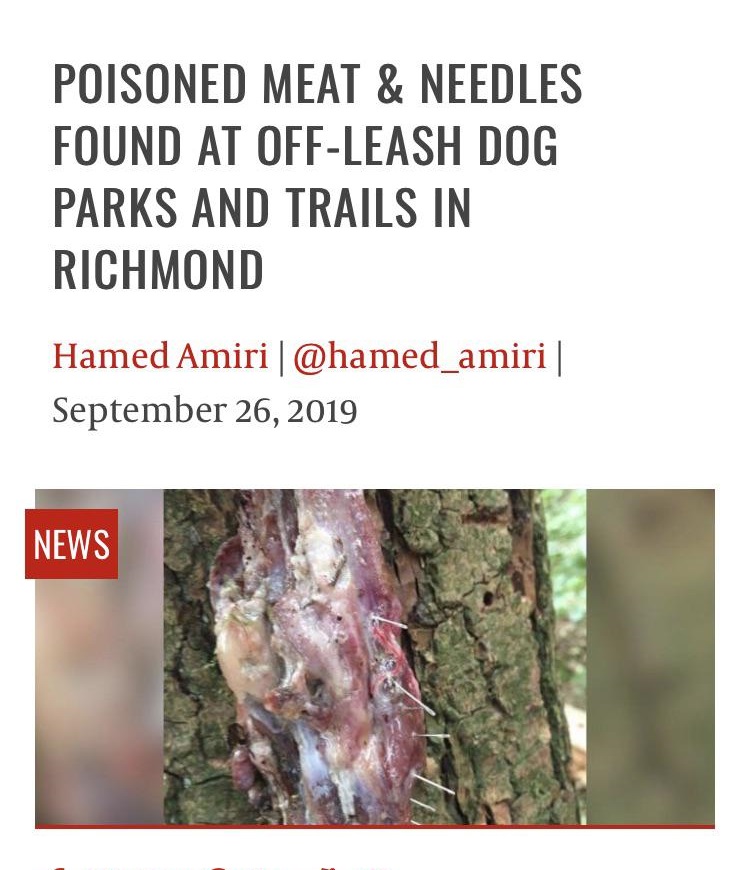 tree - Poisoned Meat & Needles Found At OffLeash Dog Parks And Trails In Richmond Hamed Amiri | News