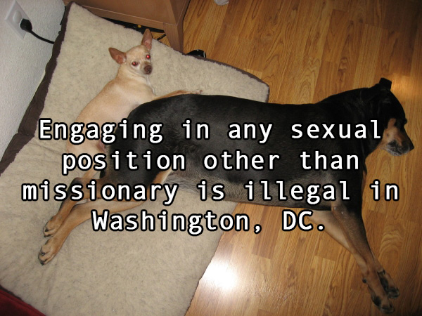 photo caption - Engaging in any sexual position other than missionary is illegal in Washington, Dc.