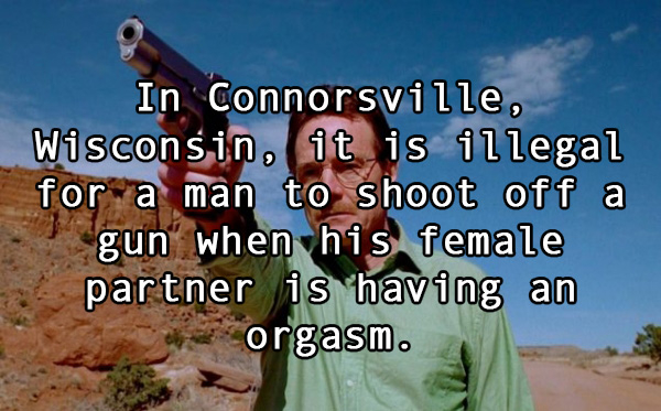 walter white breaking bad - In Connorsville, Wisconsin, it is illegal for a man to shoot off a gun when his female partner is having an orgasm.