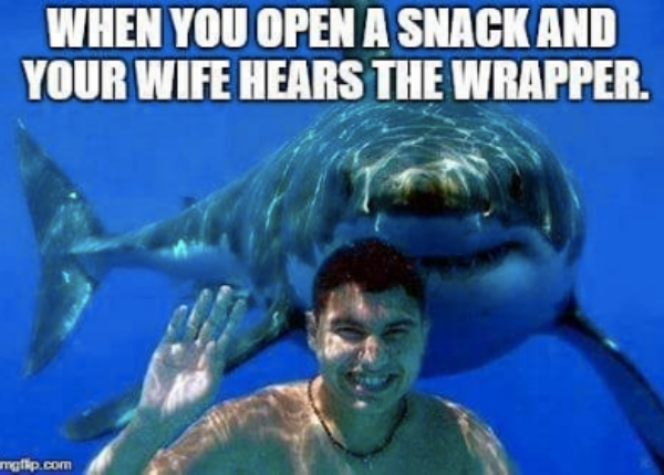 minnow shark - When You Open A Snack And Your Wife Hears The Wrapper mgflip.com