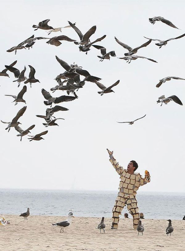 seagull bread suit