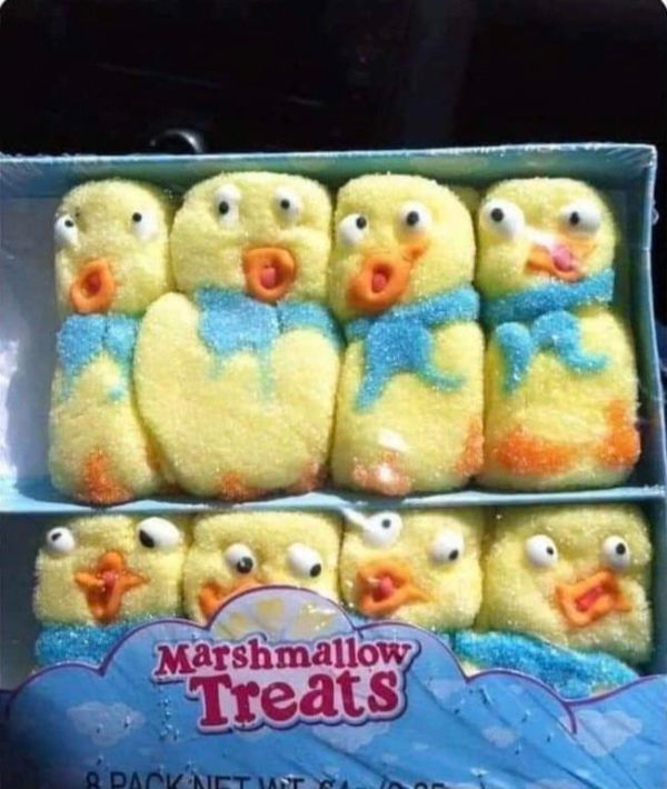 don t leave peeps in the car - Marshmallow Treats