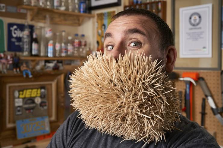 world record for toothpicks in beard