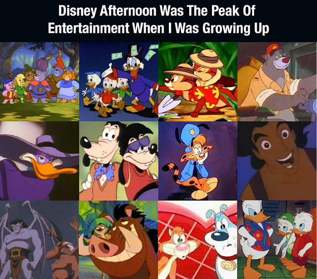 Disney Afternoon Was The Peak Of Entertainment When I Was Growing Up