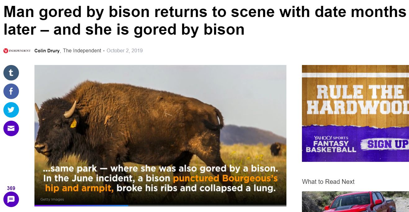 facebook share - Man gored by bison returns to scene with date months later and she is gored by bison Independent Colin Drury, The Independent Rule The Hardwool Yahoo! Sports Fantasy Basketball Sign Up ...same park where she was also gored by a bison. In 