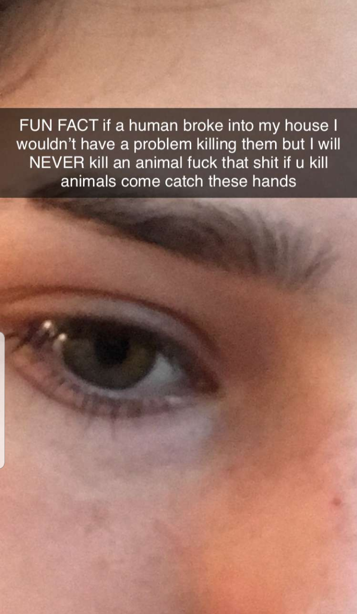 close up - Fun Fact if a human broke into my house I wouldn't have a problem killing them but I will Never kill an animal fuck that shit if u kill animals come catch these hands