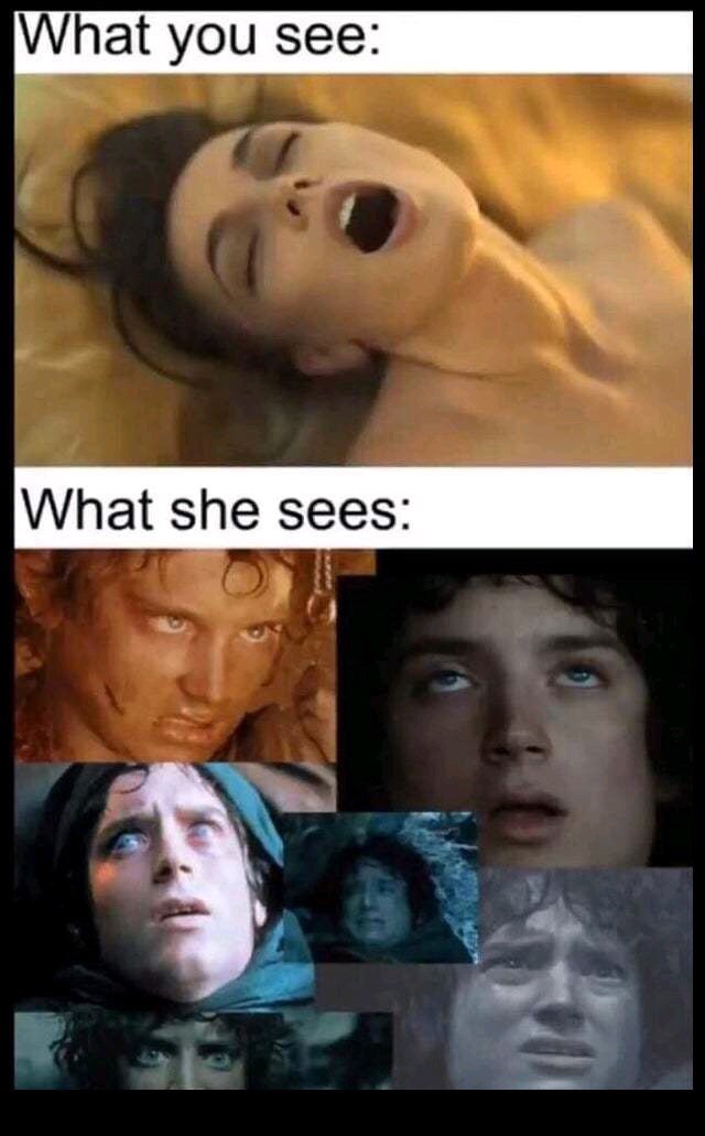 funny frodo memes - What you see What she sees