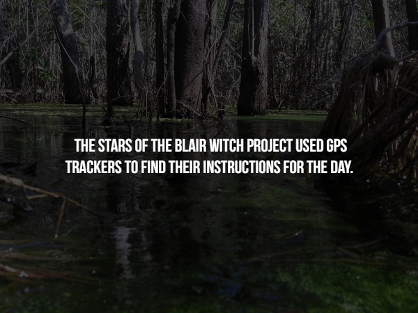 nature - The Stars Of The Blair Witch Project Used Gps Trackers To Find Their Instructions For The Day.