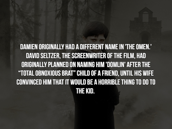 monochrome photography - Damien Originally Had A Different Name In 'The Omen.' David Seltzer, The Screenwriter Of The Film, Had Originally Planned On Naming Him 'Domlin' After The "Total Obnoxious Brat" Child Of A Friend, Until His Wife Convinced Him That