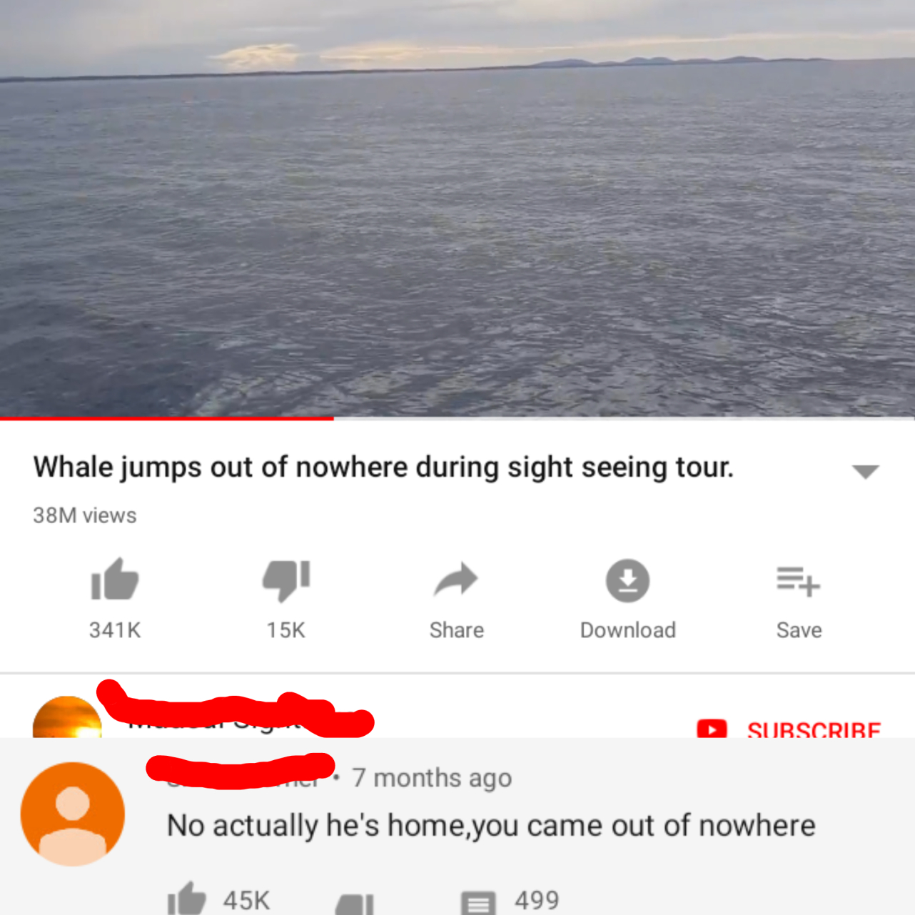 nearly shitted on myself at school - Whale jumps out of nowhere during sight seeing tour. 38M views 15K Download Save D Surscrire 7 months ago No actually he's home,you came out of nowhere 45K 499