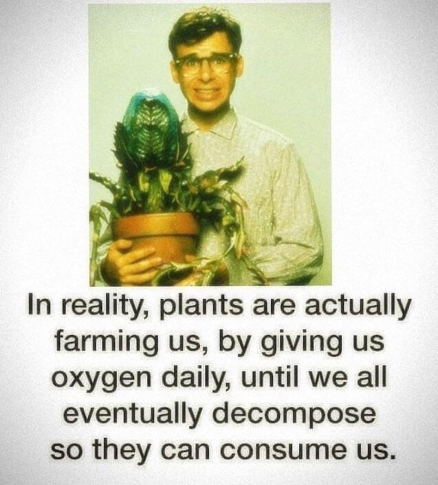 reality plants are farming us - In reality, plants are actually farming us, by giving us oxygen daily, until we all eventually decompose so they can consume us.