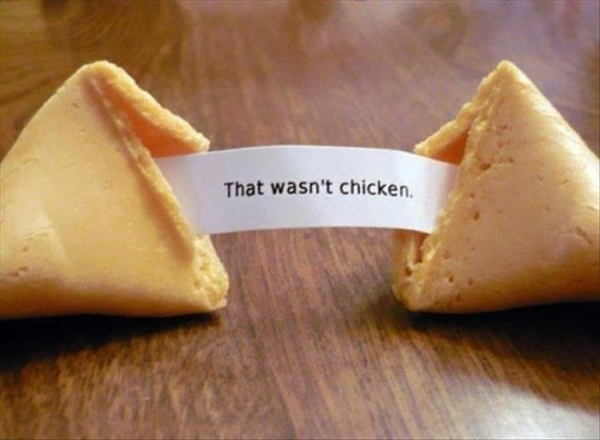 fortune cookie funny - That wasn't chicken,