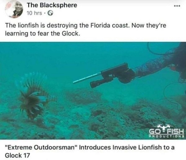 lionfish meme - The Blacksphere 10 hrs. The lionfish is destroying the Florida coast. Now they're learning to fear the Glock. Go Fish Roductions "Extreme Outdoorsman" Introduces Invasive Lionfish to a Glock 17
