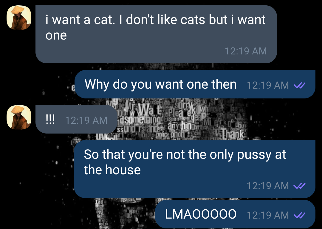 i want a cat. I don't cats but i want one Why do you want one then V !!! Sce dsome sssal So that you're not the only pussy at the house V LMA00000 V