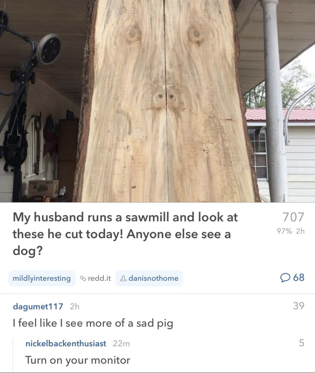 My husband runs a sawmill and look at these he cut today! Anyone else see a dog? 707 97% 2h mildlyinteresting redd.it danisnothome 68 dagumet 117 2h I feel I see more of a sad pig nickelbackenthusiast 22m Turn on your monitor