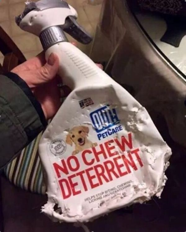 no chew deterrent spray - Petcare No Chew Deterrent Stop Butino, Chewing Noscratch
