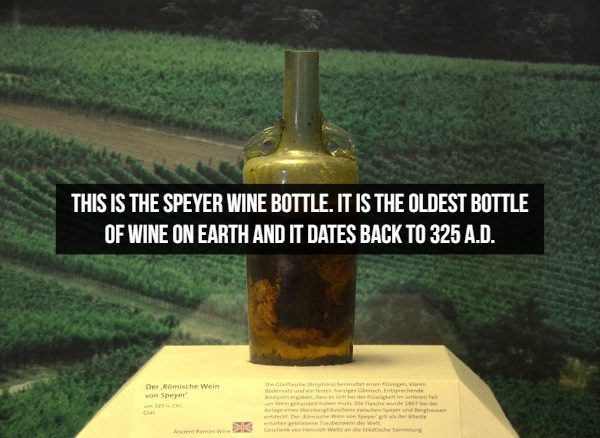 This Is The Speyer Wine Bottle. It Is The Oldest Bottle Of Wine On Earth And It Dates Back To 325 A.D. Der Rmische Wein