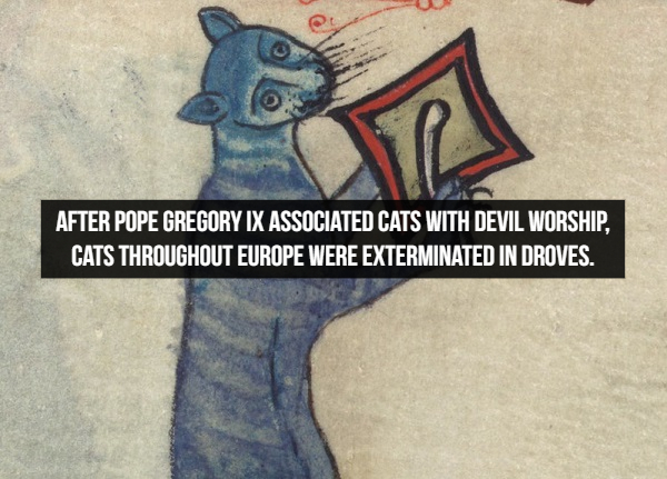 manuscript marginalia cat - After Pope Gregory Ix Associated Cats With Devil Worship, Cats Throughout Europe Were Exterminated In Droves.