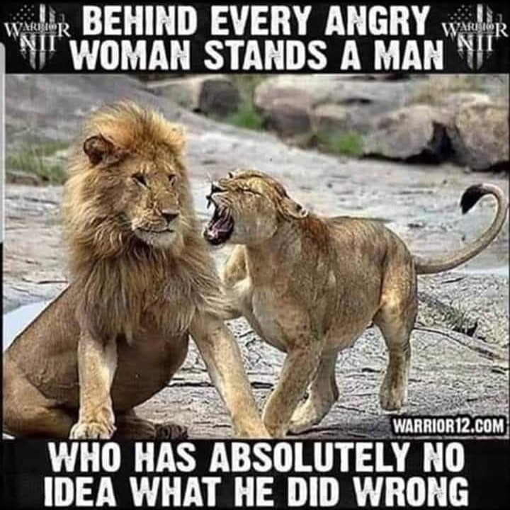 female lion growling at male - Willie Behind Every Angry Wor Woman Stands A Man WARRIOR12.Com Who Has Absolutely No Idea What He Did Wrong