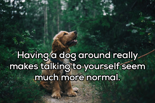 Dog - Having a dog around really makes talking to yourself seem much more normal.