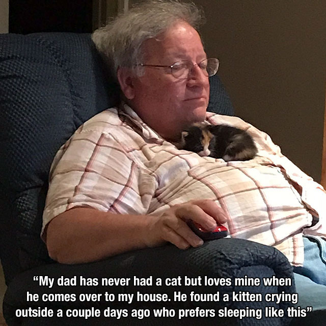 kitten sleeping on dad - "My dad has never had a cat but loves mine when he comes over to my house. He found a kitten crying outside a couple days ago who prefers sleeping this."