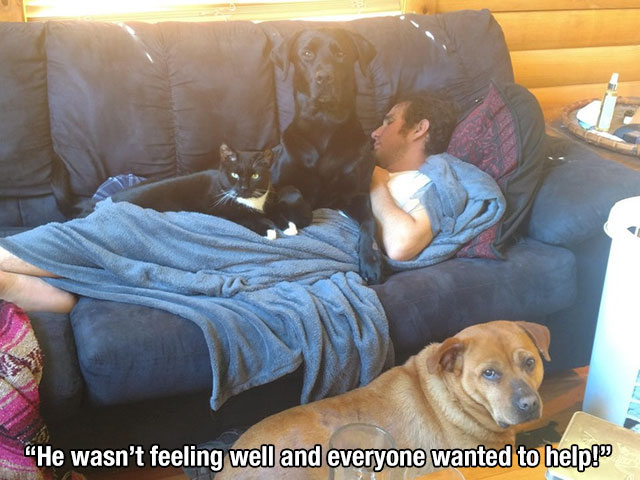 Dog - "He wasn't feeling well and everyone wanted to helples