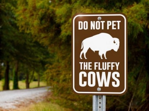 bigfoot sign - Do Not Pet The Fluffy Cows