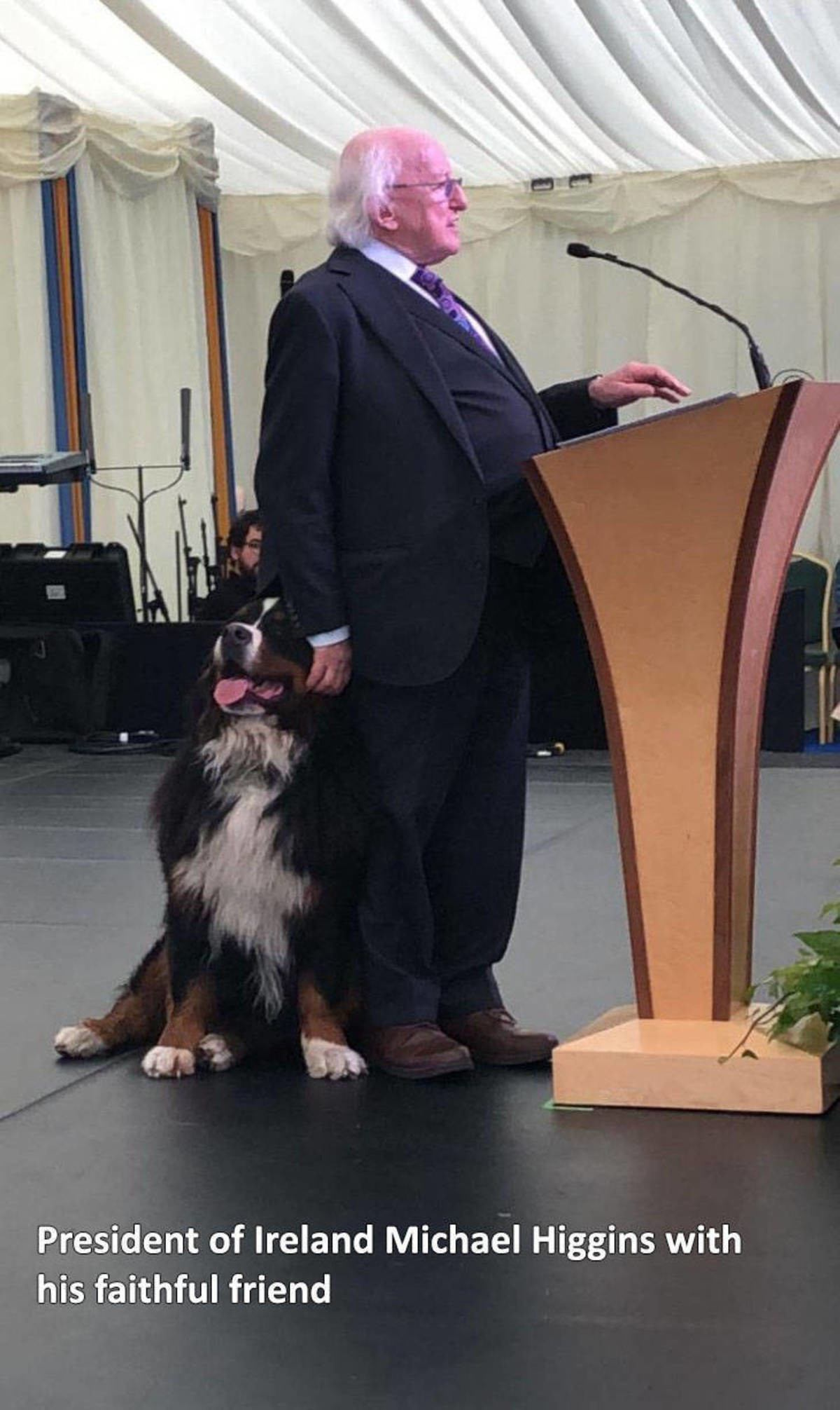 ireland president dog - President of Ireland Michael Higgins with his faithful friend