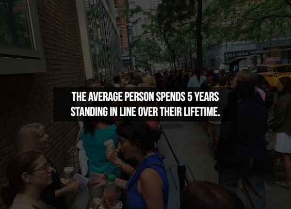 crowd - The Average Person Spends 5 Years Standing In Line Over Their Lifetime.