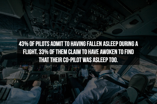 children 1st - 43% Of Pilots Admit To Having Fallen Asleep During A Flight. 33% Of Them Claim To Have Awoken To Find That Their CoPilot Was Asleep Too.