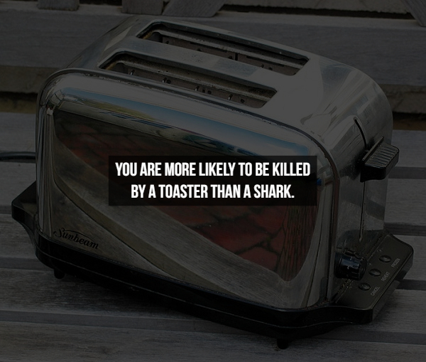 old toaster - You Are More ly To Be Killed By A Toaster Than A Shark. Sunheam