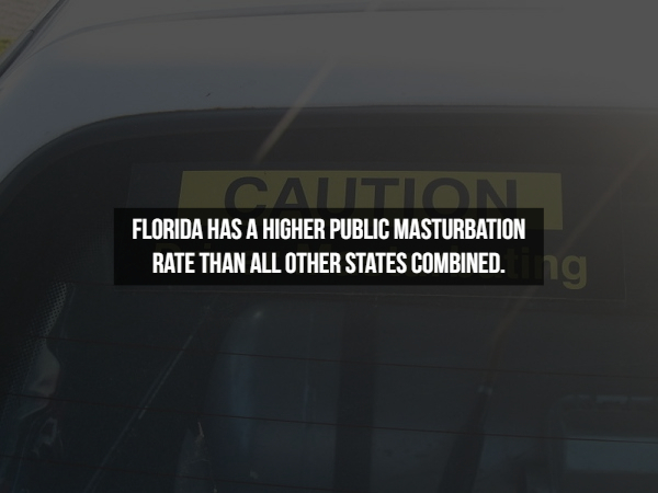 king of the cage - Florida Has A Higher Public Masturbation Rate Than All Other States Combined.