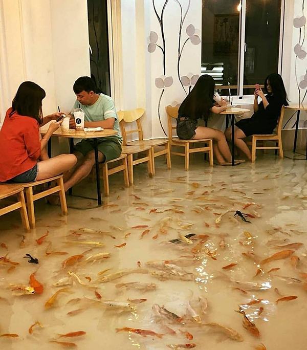 vietnam fish cafe
