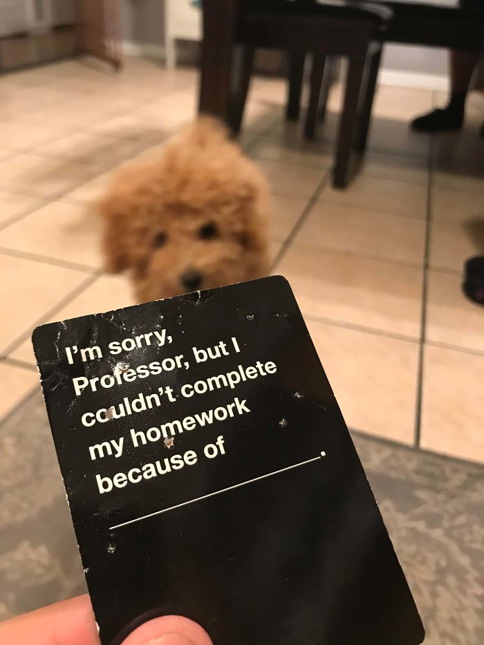 cards against humanity im sorry professor - I'm sorry, Professor, but I couldn't complete my homework because of