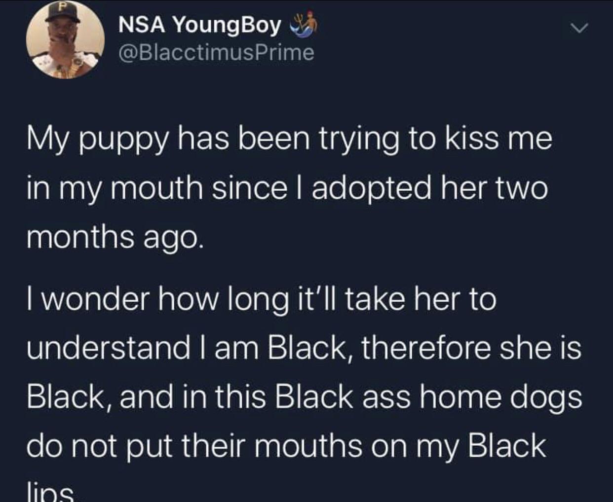 YoungBoy Prime My puppy has been trying to kiss me in my mouth since I adopted her two months ago I wonder how long it'll take her to understand I am Black, therefore she is Black, and in this Black ass home dogs do not put their mouth