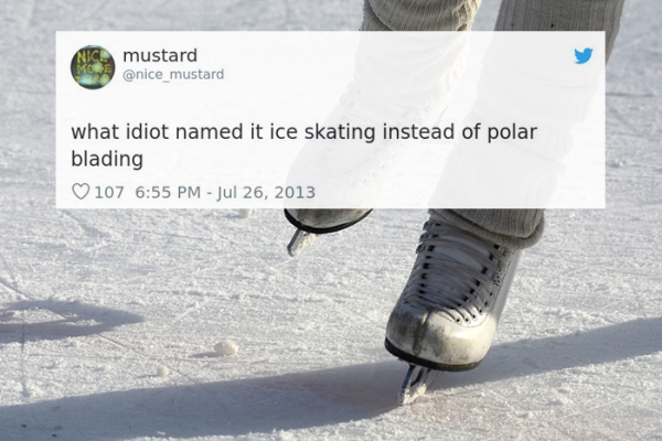 mustard what idiot named it ice skating instead of polar blading 107