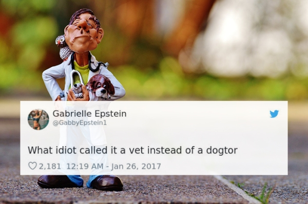 Veterinarian - Gabrielle Epstein Epstein1 What idiot called it a vet instead of a dogtor 2,181