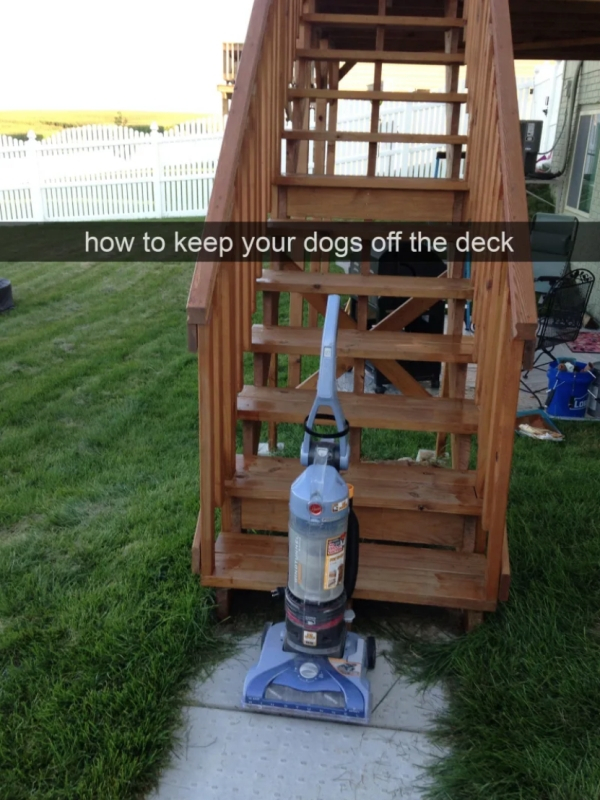 keep dogs off deck - how to keep your dogs off the deck