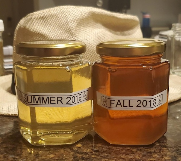 Honey - Summer 2019 Ufall 2018