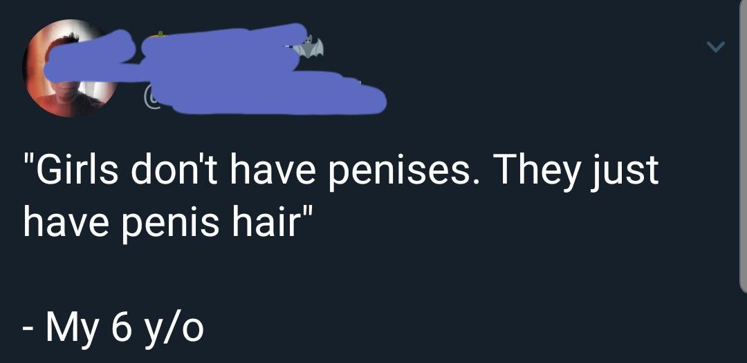 lyrics - "Girls don't have penises. They just have penis hair" My 6 yo