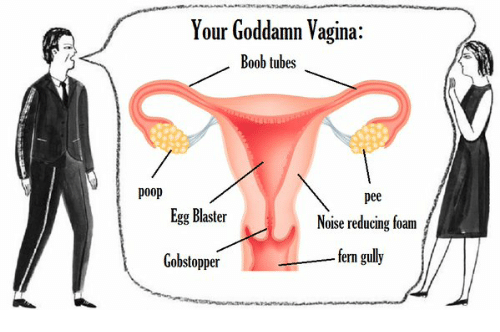 funny boob and vagina - Your Goddamn Vagina Boob tubes poop pee Egg Blaster Noise reducing foam fern gully Gobstopper