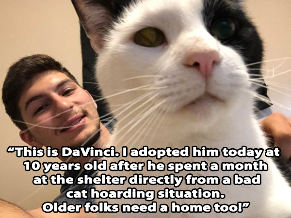 world's biggest idiot - This is DaVinci. I adopted him today at 10 years old after he spent a month at the shelter directly from a bad cat hoarding situation. Older folks need a home too!