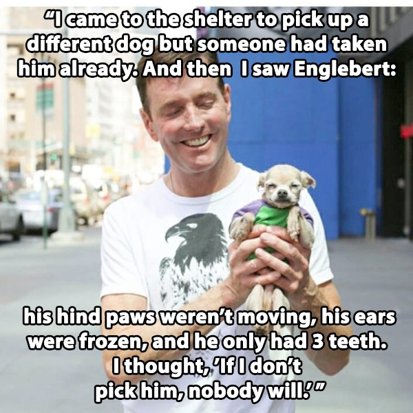 humans of new york engelbert - Mcame to the shelter to pick up a different dog but someone had taken him already. And then I saw Englebert his hind paws weren't moving, his ears were frozen, and he only had 3 teeth. I thought. If I don't pick him, nobody