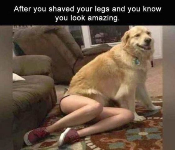 illusion you are amazing funny - After you shaved your legs and you know you look amazing.