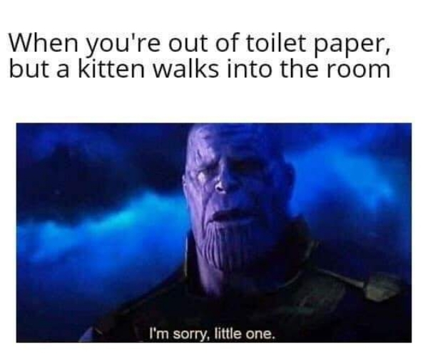 sad minecraft noises - When you're out of toilet paper, but a kitten walks into the room I'm sorry, little one.